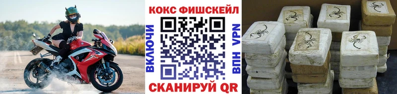 COCAIN Fish Scale  Ефремов 