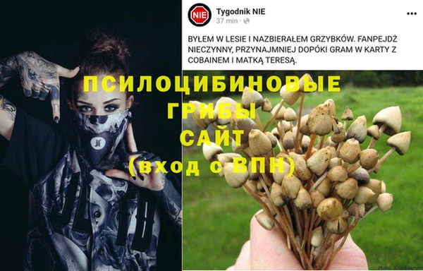 mdpv Майский