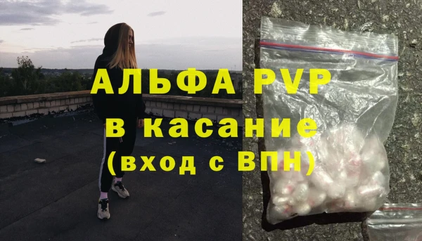 ECSTASY Медвежьегорск