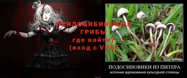 крисы Семёнов