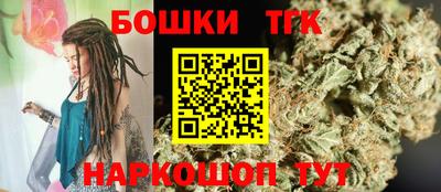 МДПВ Кингисепп