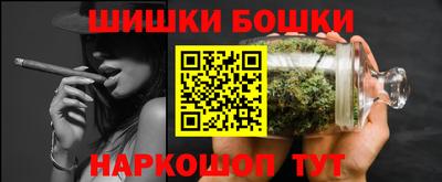 СК Гатчина