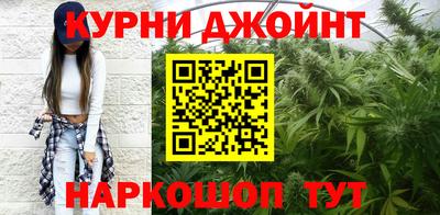 СК Гатчина