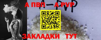 СК Гатчина