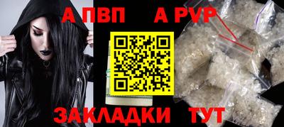 СК Гатчина