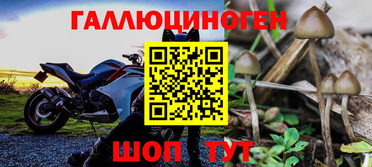 Галлюциногенные грибы мицелий  Вход с VPN  Псилоцибиновые грибы ЛСД  Ефремов 