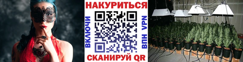 Конопля Amnesia Ефремов